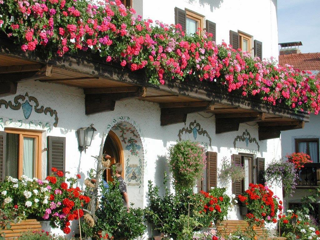 Biererhof Villa Rottau Dış mekan fotoğraf